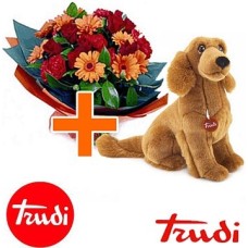 Trudi 36cm plush dog (Curated)
